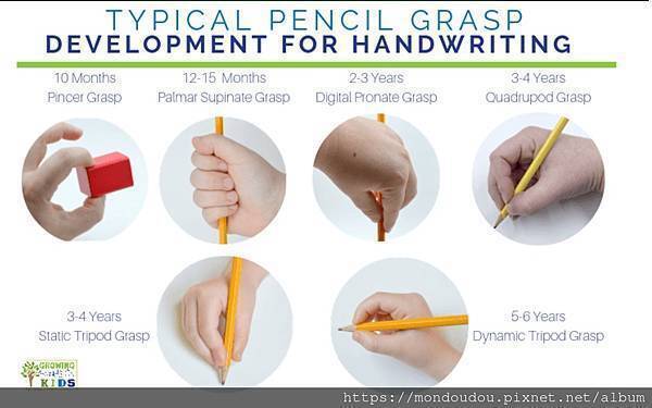 以上照片截圖自網站：Typical Pencil Grasp Development for Writing