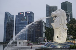 【獅城之憂】新加坡死亡數驟增民眾心慌 「與病毒共存」面臨考驗
