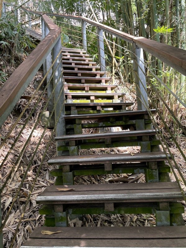 竹山天梯又稱「梯子吊橋」，是全台首座階梯式索橋，全長136公尺、208階。 圖／...