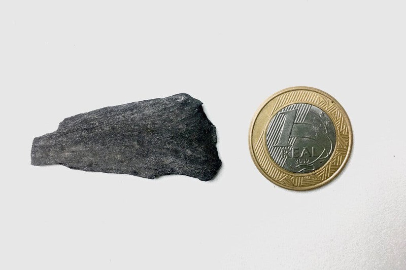 研究人員於2015年和2016年在南極洲詹姆斯羅斯島挖出的木炭碎片，大小和一枚巴西硬幣差不多。紐約時報