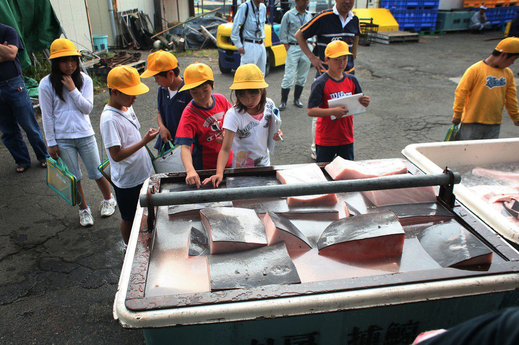 圖為日本學童的修學旅行，參觀港口的捕鯨活動和鯨魚肉解體。 圖／美聯社