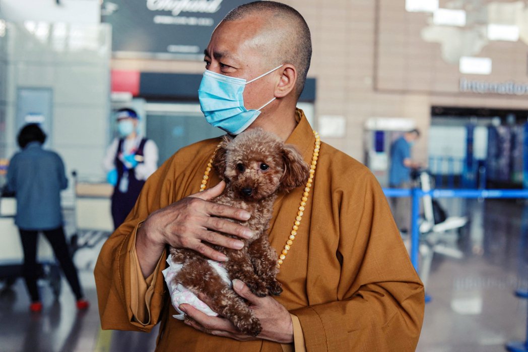 上海報恩寺的智祥和尚，在中國以救援流浪動物聞名。 圖／法新社