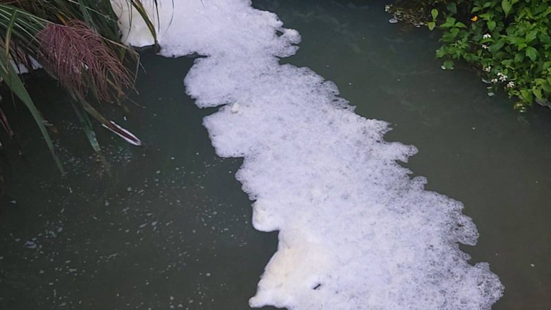 關西鎮居民發現工廠排汙口冒出大量白色泡泡，質疑又再排放廢水汙染溪流。記者巫鴻瑋／翻攝