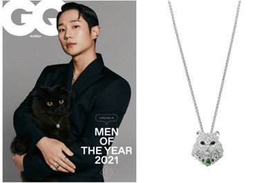 丁海寅登時尚雜誌年度風格人物  黑貓與Boucheron白貓珠寶上身  雙倍賣萌