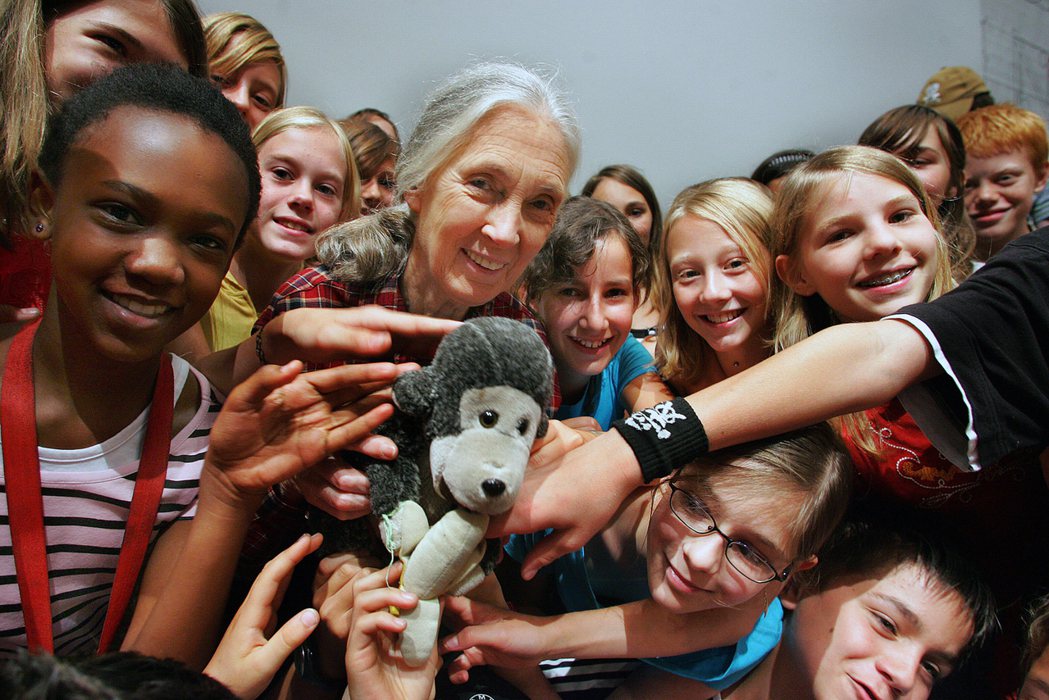 人類學家珍古德（Dr. Jane Goodall）獲頒第四屆唐獎永續發展獎。 圖...