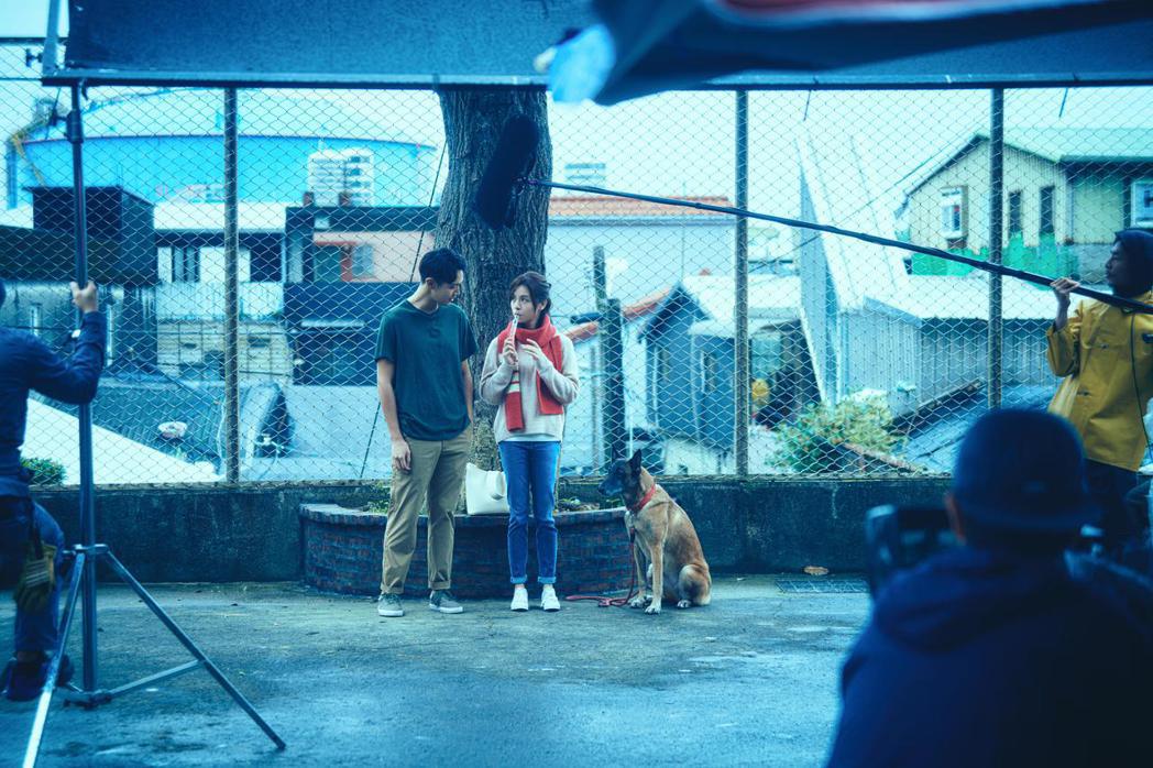 狗狗Akita(右)在「月老」飾演狗狗阿魯，精準的演技完全就是全片的哭戲擔當。圖...
