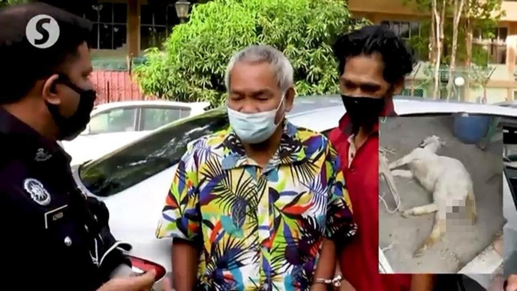 馬來西亞60歲男子沙里哈山（中）被控跟母山羊發生「違反自然性行為」，一旦被判有罪...