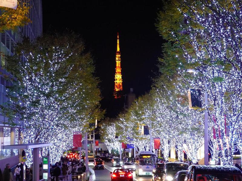 東京28日COVID-19新增確診9例，連續17天單日新增低於30例。隨著疫情降溫，多處景點觀賞耶誕彩燈的人潮增多，包括東京六本木櫸坂通彩燈如樹冰般，如夢如幻，吸引許多遊客來打卡。圖／中央社