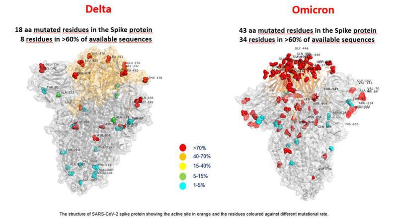 義大利羅馬小耶穌兒科醫院研究團隊27日發布全球首張Omicron變異株的照片，Omicron（右）比Delta（左）突變處更多，紅點是變異最多的地方。圖／取自open.online網站