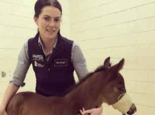 澳洲獸醫給她自己與友人服用馬鎮定劑及非法藥物。圖／取自theaustralian