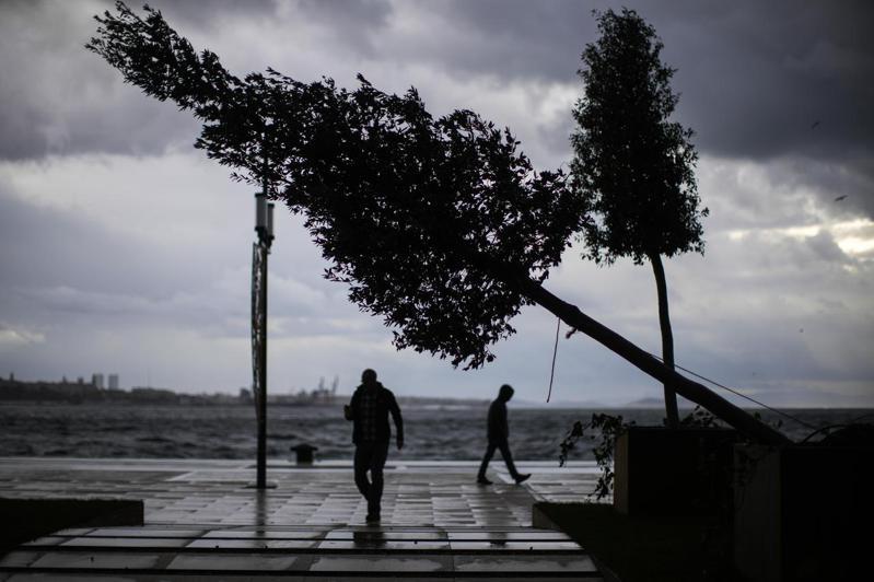 土耳其遭遇強勁西風和西南風侵襲，據官方統計，已至少6人死亡、52人受傷。圖為伊斯坦堡遭吹倒路樹。美聯社