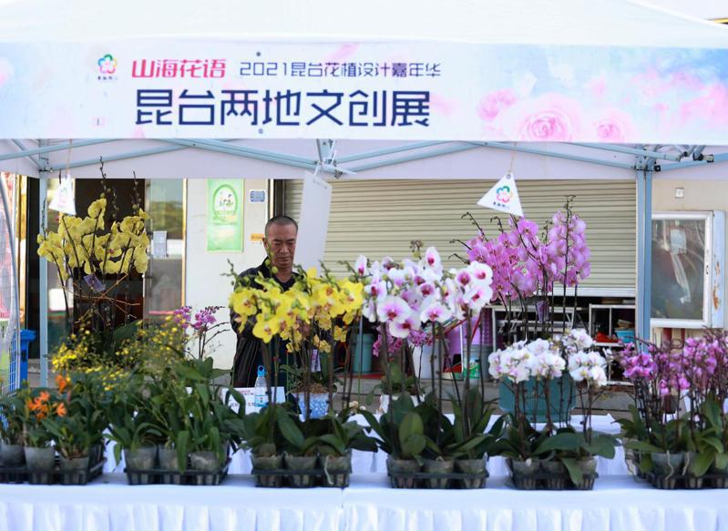 台商在昆台兩地文創展上，展示種植的蘭花。圖／本報雲南昆明傳真