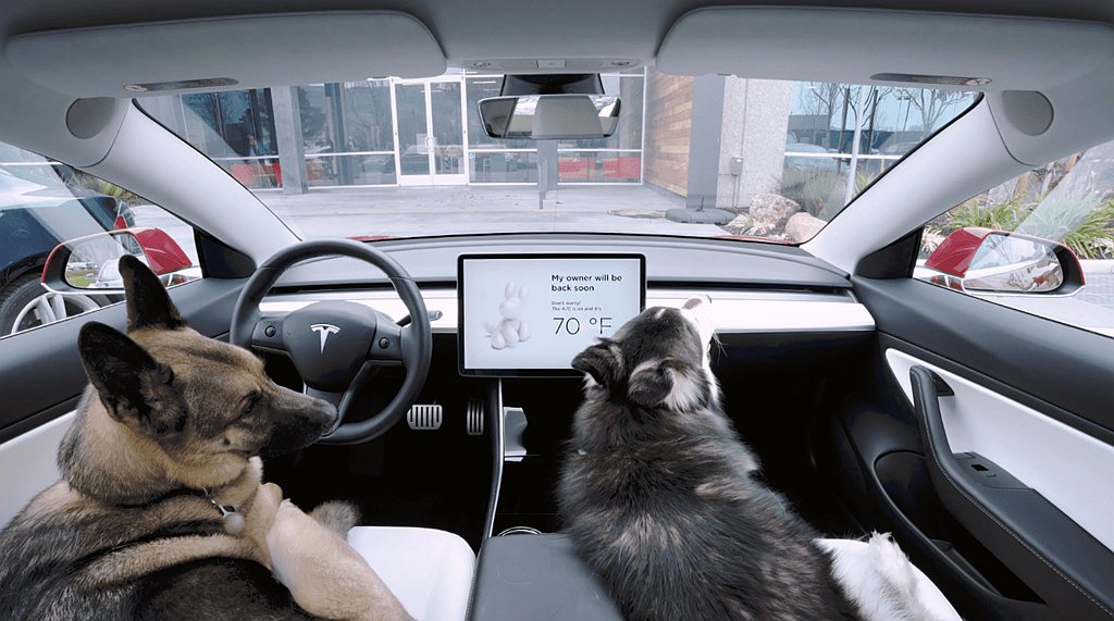 特斯拉獨特的寵物模式不僅讓車主帶寵物出門更加方便，也提供寵物最舒適自在的車室空間...