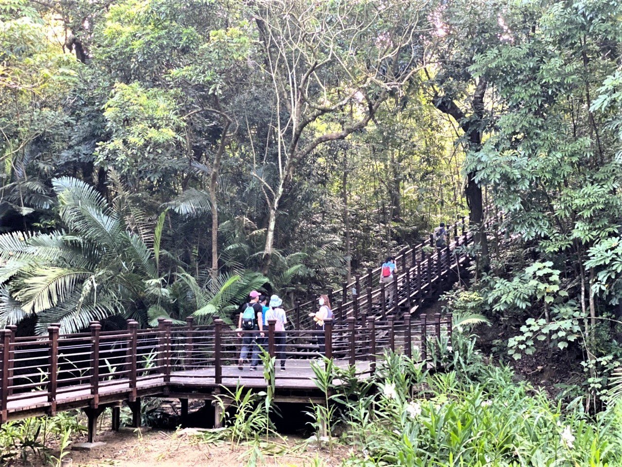 新化林場新闢建的高架步道，人與動物分道，更友善環境。 圖／吳淑玲 翻攝