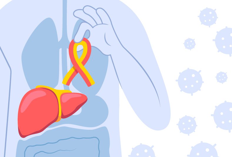 肝癌位居十大癌症第二名，而男性罹患肝癌比女性更常見。圖片來源／freepik。