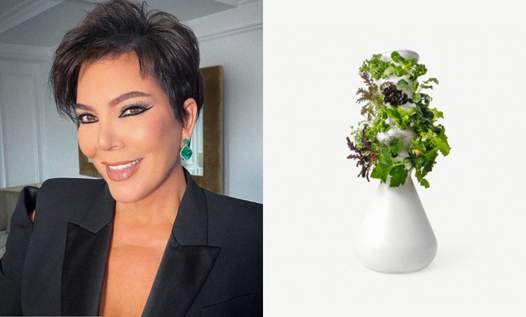 圖／微新聞提供 大家長Kris Jenner看來對於植栽、園藝相當有興趣，她挑選...