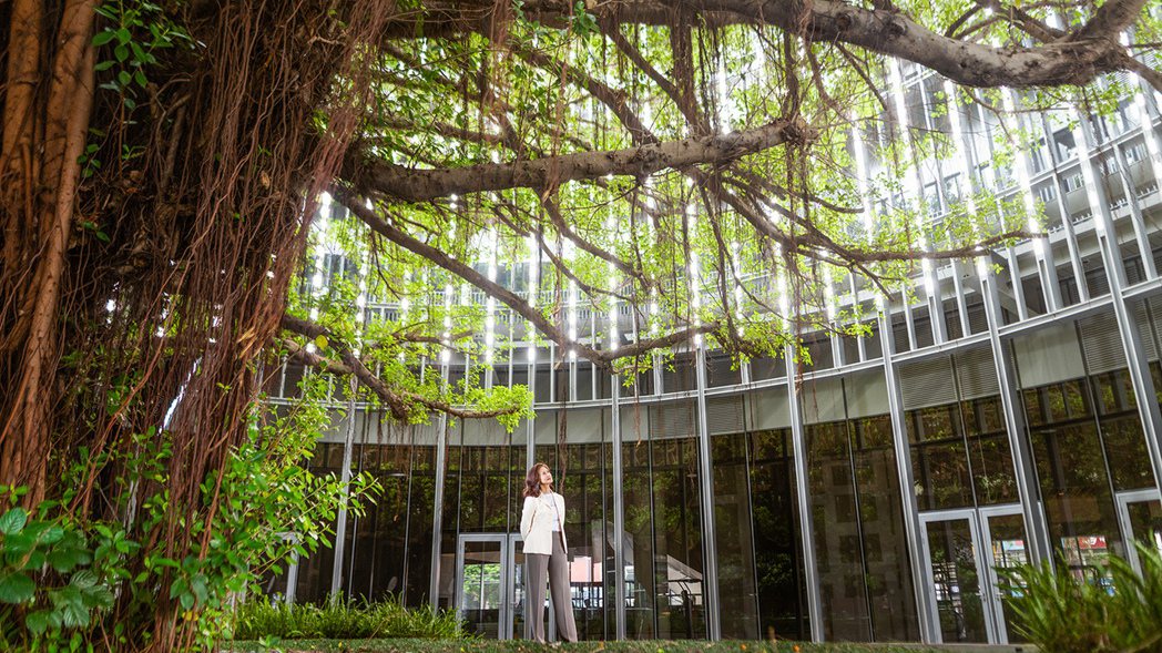 全球人壽副董事長林文惠希望能透過保育老樹的歷史意義，藉由「希望園區」將科技跟人文...