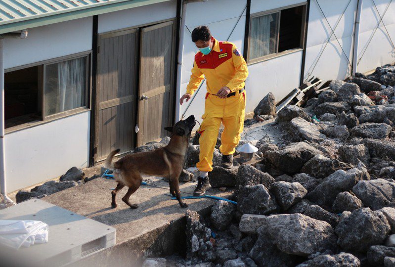 搜救犬能在嚴峻的災區找出受困民眾。記者陳弘逸／攝影