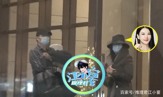 李湘被拍到與一男子同進酒店。圖／擷自百度