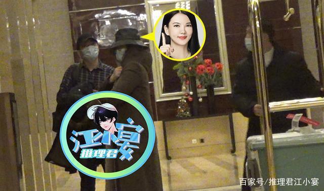 李湘被拍到與一男子同進酒店。圖／擷自百度
