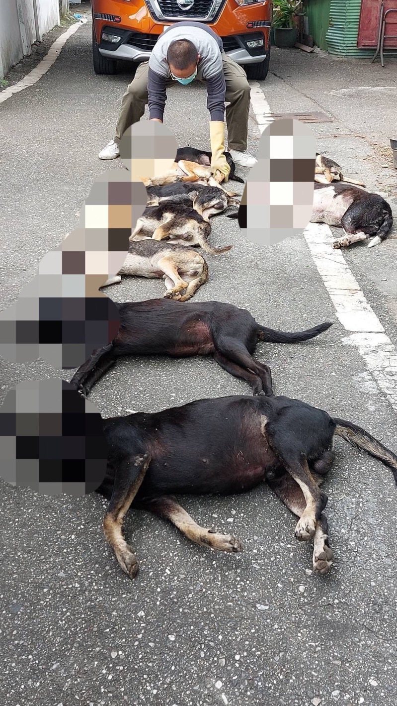 花蓮新城鄉上周傳出多隻犬隻死亡，經由農委會檢驗，其中8隻為有機磷農藥中毒，檢警列重大刑案積極偵辦。圖／資料照