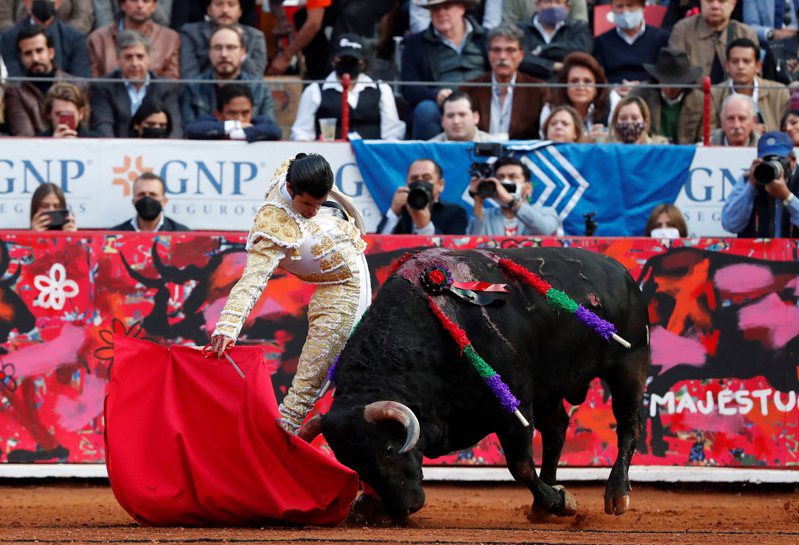 墨西哥城近500年歷史的鬥牛文化每年都吸引大批觀光客及民眾慕名前往。歐新社