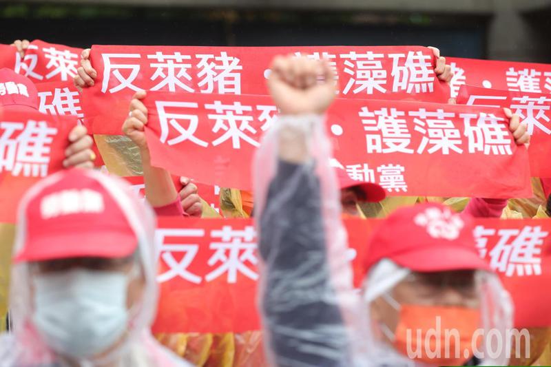 蔡英文總統投票前表示，反萊豬公投若通過，將影響台灣加入CPTPP。但學者對蔡總統將「反萊豬與CPTPP」掛鉤的論述多不以為然。圖／聯合報系資料照片