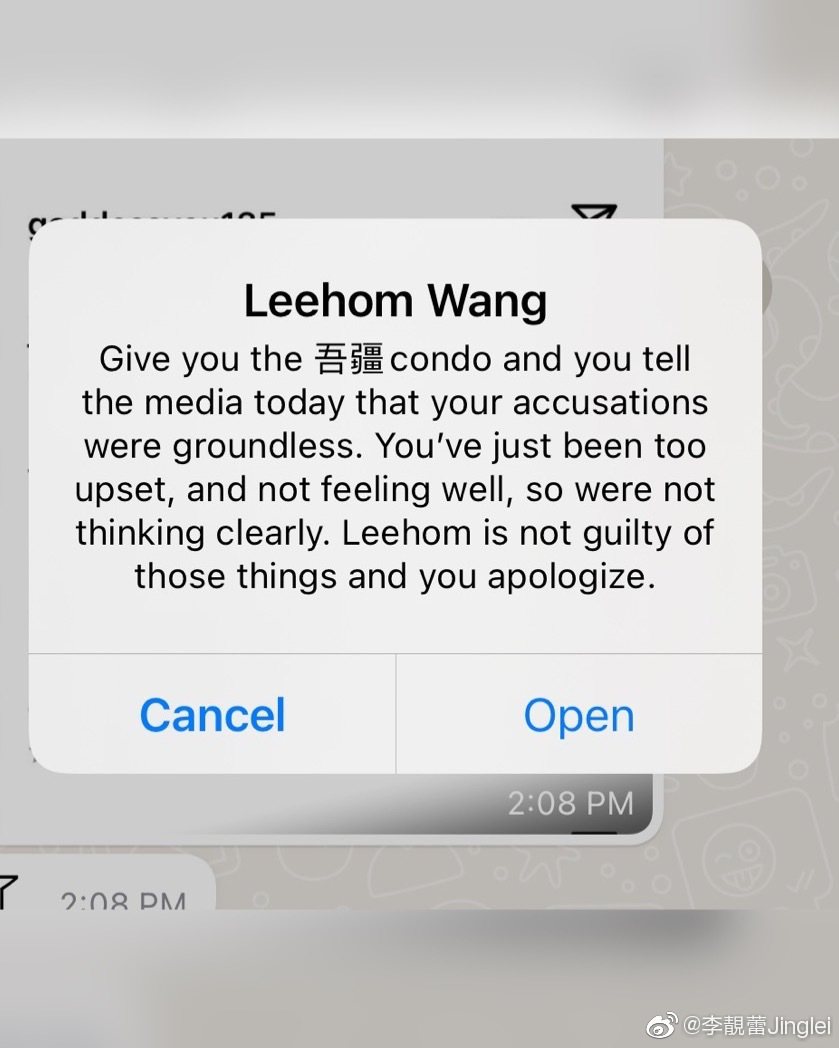 王力宏傳訊表示若是李靚蕾發道歉聲明，願意給她房子。圖／摘自微博