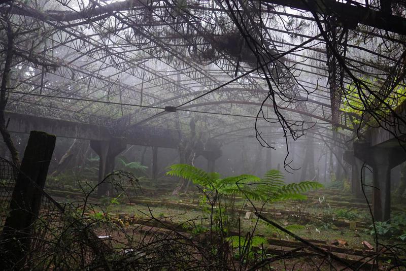 宋美齡的牡丹園位於舊人倫工作站最下層，是一座有屋頂的溫室花園，起霧時有一股神秘的氣氛。記者邱德祥／攝影