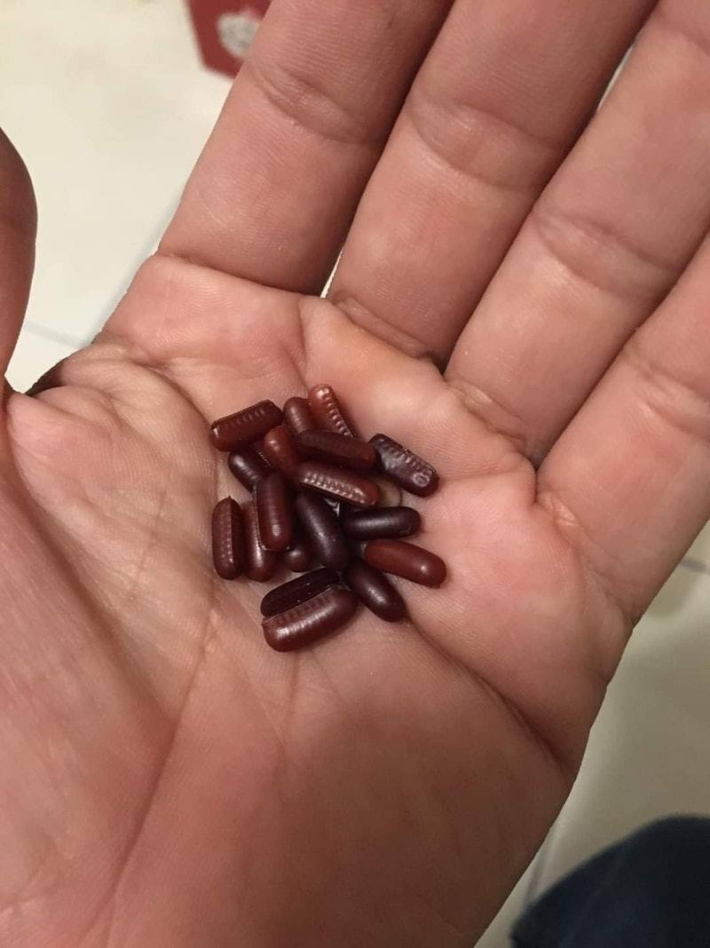 女兒拿來一堆「紅豆」，可是他一看發現有「特殊紋路」。（fb「爆廢公社」圖片）
