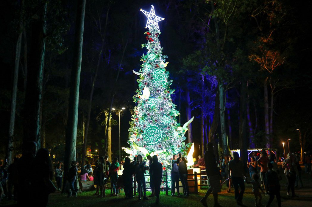 聖誕樹頂端的星星裝飾名為「伯利恆之星」，是聖誕樹中唯一與耶穌有直接關聯的象徵物。 圖／路透社