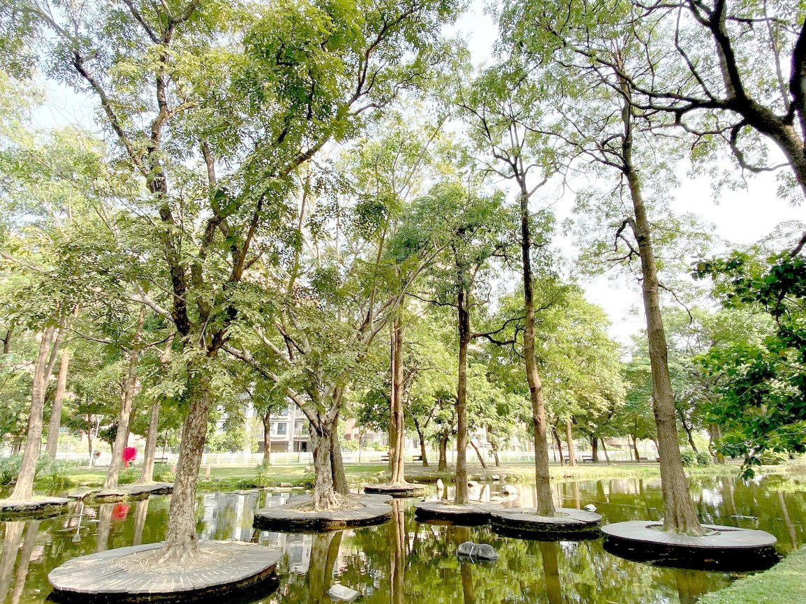 因為有著高大樹影倒映在溼地生態池的夢幻景觀，被稱作「城市版忘憂森林」。 圖／泰國...