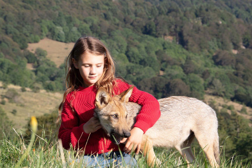 「法國影壇童星」珊娜・凱爾在電影中與「真狼」親密接觸。捷傑提供