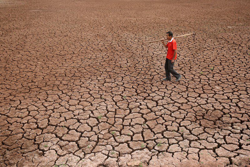 中國大陸水源短缺和非永續的農業正造成大片土地荒漠化。圖為2020年5月，四川省內江市一名農民走在嚴重乾旱的耕地上。路透／Oriental Image