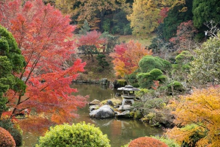▲成田山公園內有三座池塘，可以在池中看到優游自在的錦鯉。　圖：日本旅行情報局／提供