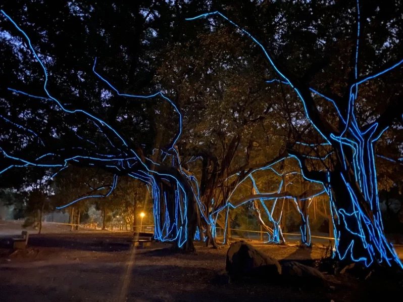 「生命線」強調老樹的生命價值，入夜後營造出宛如阿凡達電影場景。
 圖／高市觀光...