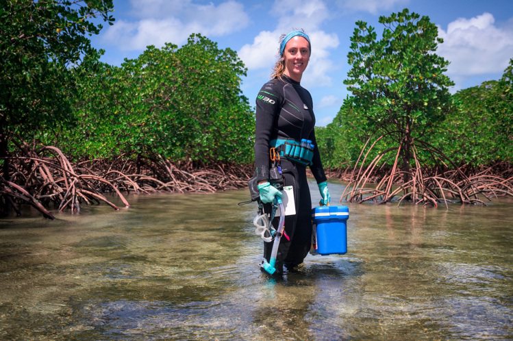 英國生物學家也是2016年勞力士雄才偉略大獎（Rolex Awards for Enterprise）得主愛瑪·甘普（Emma Camp），長年致力於拯救珊瑚礁。