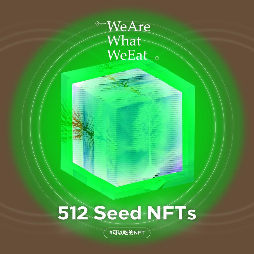 即將啟售的512顆「Seed NFTs」（圖片來源：EchoX官方Faceboo...