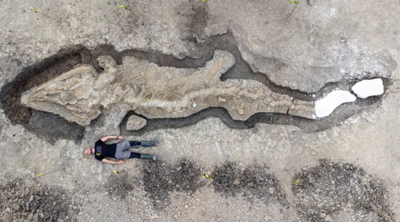 英國中部拉特蘭水庫發現一個巨大的史前「海龍」化石。 路透