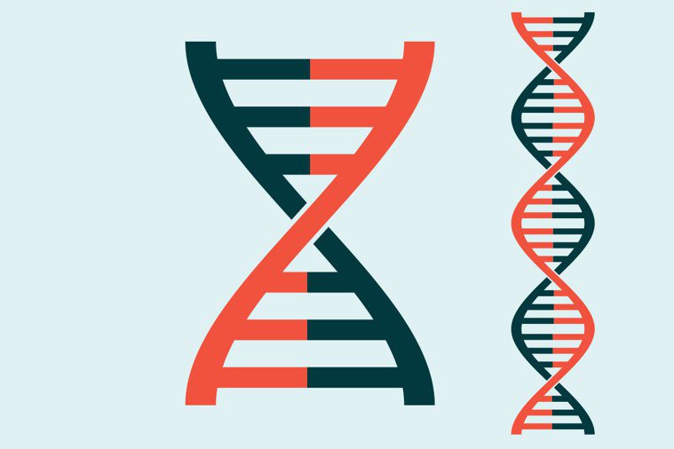 編輯人體基因，就是修改人體DNA，主要動機是根治基因突變引發的疾病。但是我們真的...