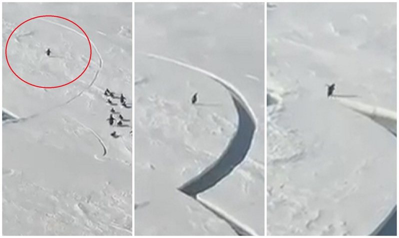 社群媒体近日疯传一只曾派驻南极的网友所拍摄影片，可见到一只小企鹅差一点点就因为南极海岸冰层突然断裂而跟家族分离。只见牠朝着冰层尚未完全分开的连结处全力冲刺，紧接着在最后关头奋力一跳，成功回到企鹅家族的怀抱。美联社/Newsflare(photo:UDN)