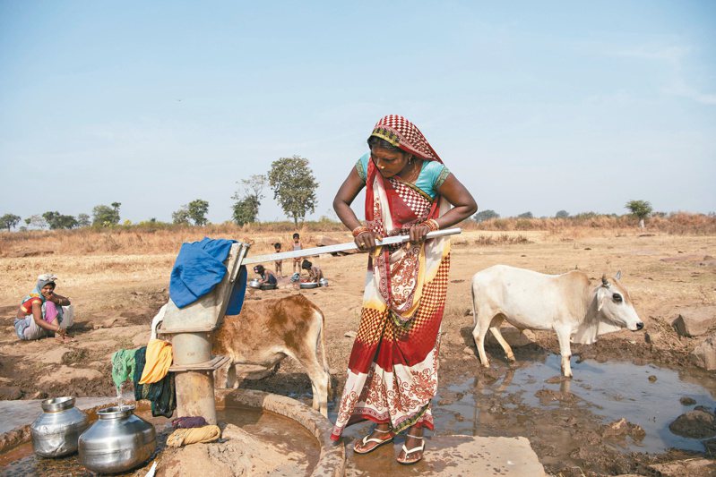 印度中央邦伊米利度村的一名婦人，正賣力壓泵浦取水。（紐約時報）
