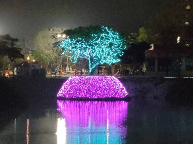 萬年溪燈區鳳凰樹的璀璨燈飾。圖／IG@terry59487授權