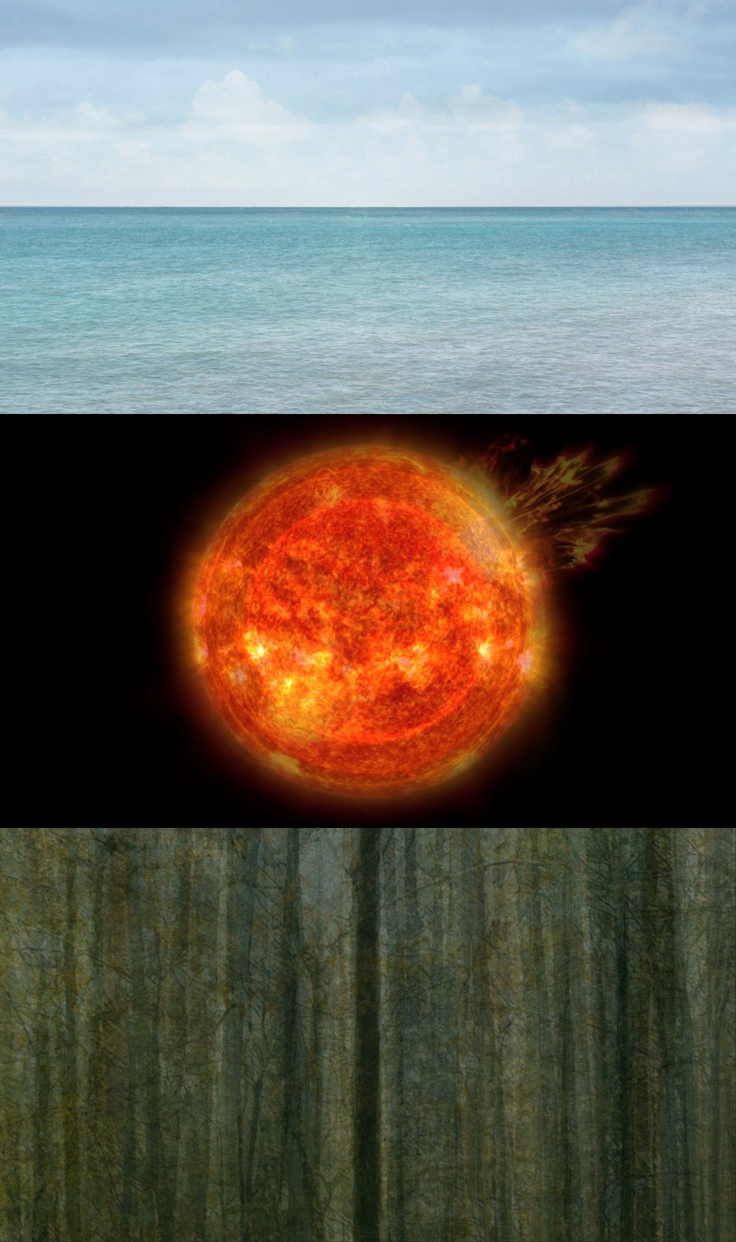 王連晟作品〈地平線-海洋∣球形-太陽∣垂直線-森林〉。 圖／台北市立美術館提供