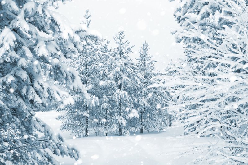 大寒降臨！3生肖越冷越好運，桃花、財源來報到(圖片來源：Shutterstock)