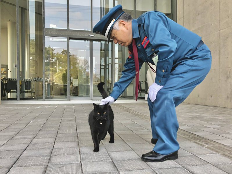 喜歡闖進去美術館的貓咪一開始只是純粹想進去，最後變成是想找熟悉的警衛叔叔。 (圖/取自尾道市立美術館 推特)