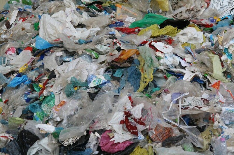 塑膠垃圾的總重量，已經超越了全球哺乳類的總重量。（網路截圖）
