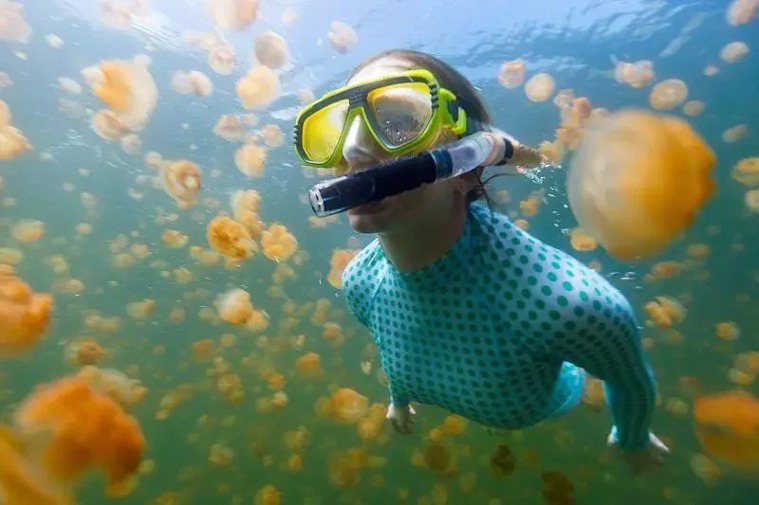 帛琉的旅遊泡泡是台灣唯一回台不需要隔離的境外旅遊行程，從疫苗旅遊轉型為潛水度假旅...