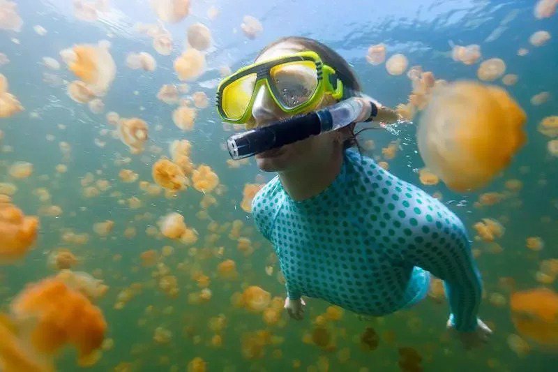 帛琉的旅遊泡泡是台灣唯一回台不需要隔離的境外旅遊行程，從疫苗旅遊轉型為潛水度假旅遊。圖／帛琉觀光局提供
