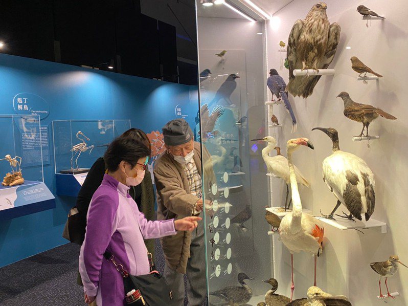 海科館「海有個鳥地方」特展開幕，300珍稀標本一次看盡。圖／海科館提供